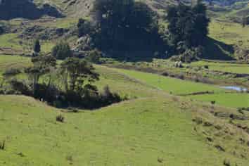 814 Awakau Road, Mokau