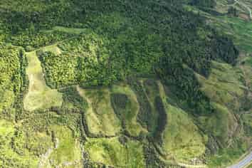 40Ha Block State Highway 67, Mokihinui
