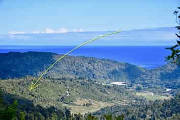 40Ha Block State Highway 67, Mokihinui