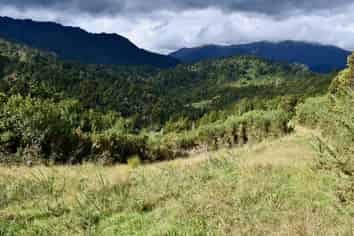 40Ha Block State Highway 67, Mokihinui