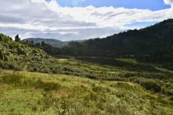 40Ha Block State Highway 67, Mokihinui