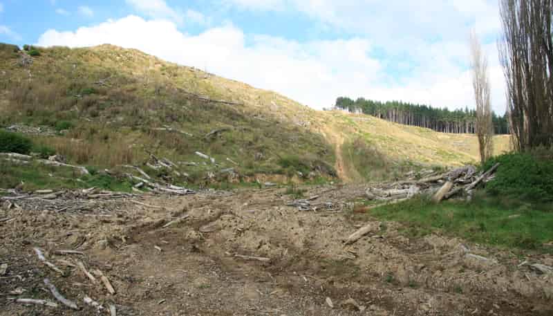0n Tangahoe Valley Road, Ohangai