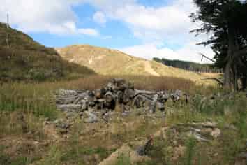 0n Tangahoe Valley Road, Ohangai