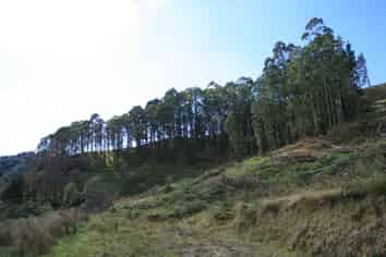 0n Tangahoe Valley Road, Ohangai