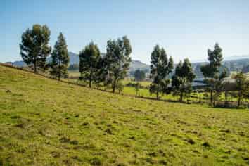 89C Mckinnon Road, McNab