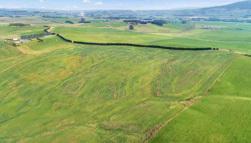 Lot 1 and 2 Pinnacle Road, Gore