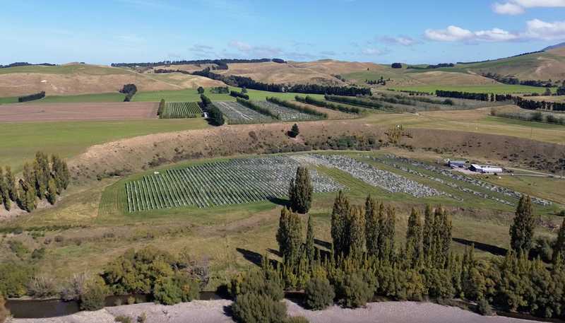 376 Ram Paddock Road, Waipara