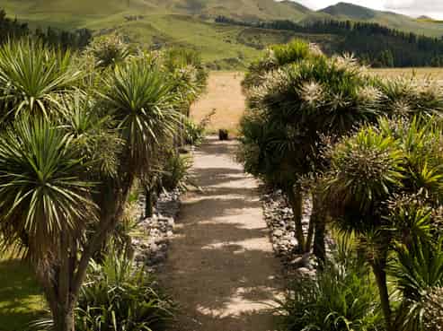 376 Ram Paddock Road, Waipara