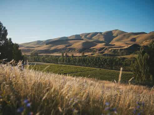 376 Ram Paddock Road, Waipara