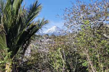 51 Young Street, New Plymouth