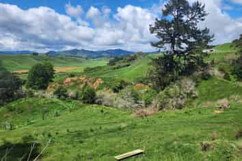 233 Paerata Ridge Road, Opotiki and Surrounds