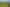 233 Paerata Ridge Road, Opotiki and Surrounds