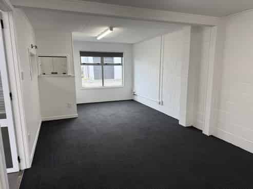 Small industrial – South Dunedin