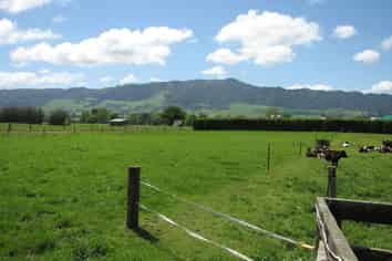 595A Tauranga Road, Te Poi