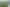 Unlock this Pokeno Trio!
