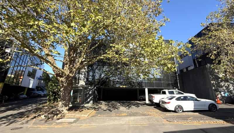 5 Wilkins Street, Freemans Bay