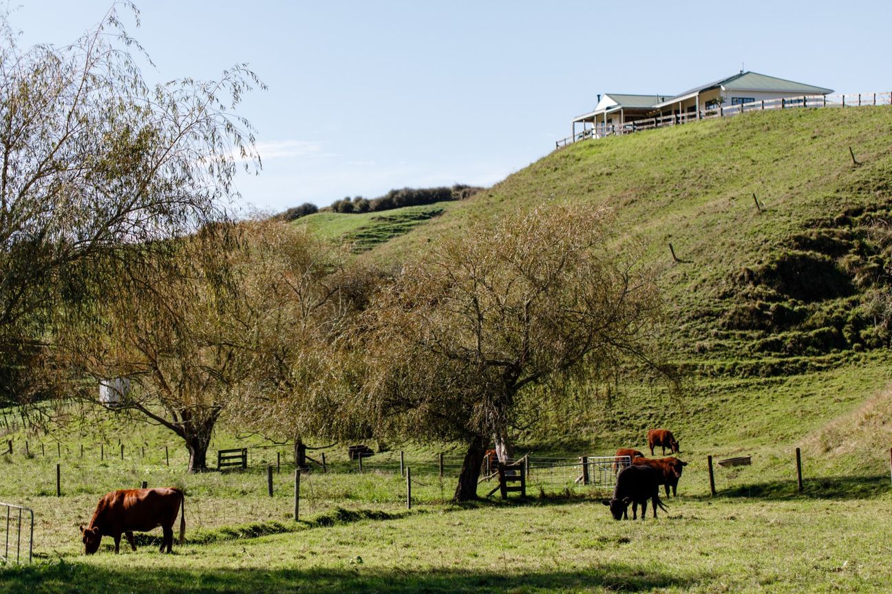 Tranquil country living with modern comfort awaits - View 2