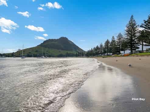 3 Commons Avenue, Mount Maunganui
