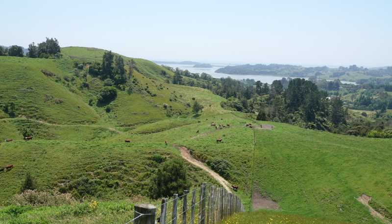 179 and 21 Rankin Road, Waiotahi