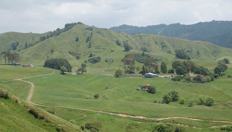 179 and 21 Rankin Road, Waiotahi