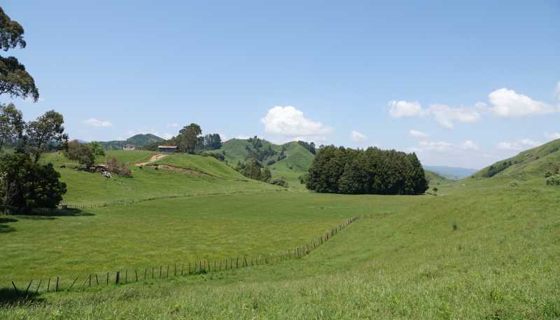 179 and 21 Rankin Road, Waiotahi