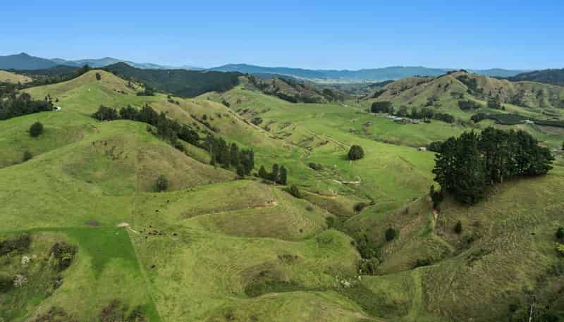 179 and 21 Rankin Road, Waiotahi