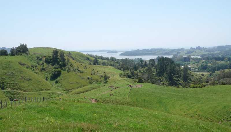 179 and 21 Rankin Road, Waiotahi