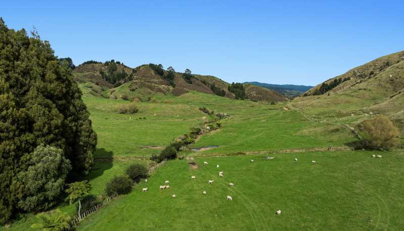 179 and 21 Rankin Road, Waiotahi