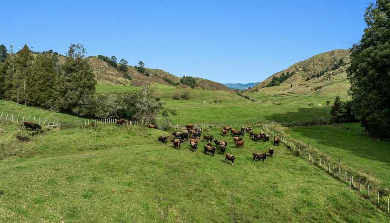 179 and 21 Rankin Road, Waiotahi