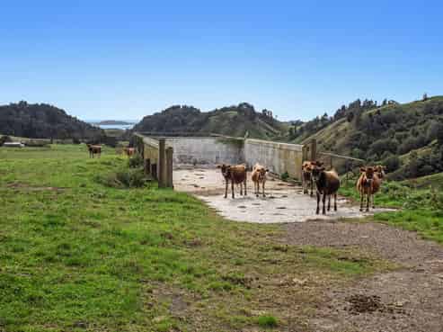 179 and 21 Rankin Road, Waiotahi