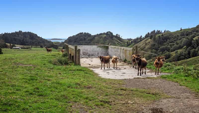 179 and 21 Rankin Road, Waiotahi