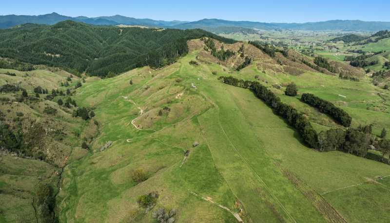 179 and 21 Rankin Road, Waiotahi