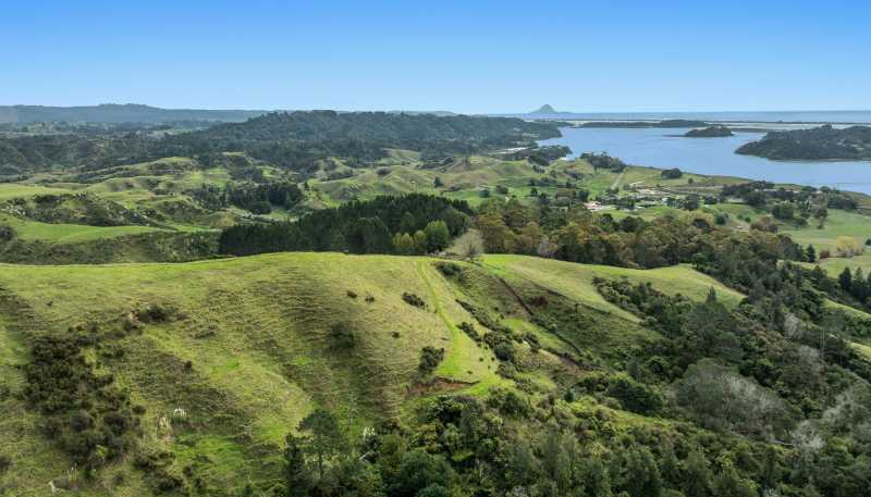 179 and 21 Rankin Road, Waiotahi