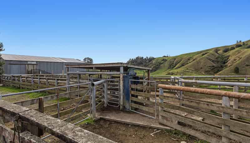 179 and 21 Rankin Road, Waiotahi