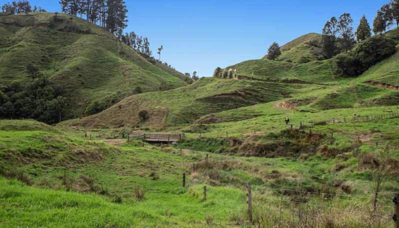 179 and 21 Rankin Road, Waiotahi