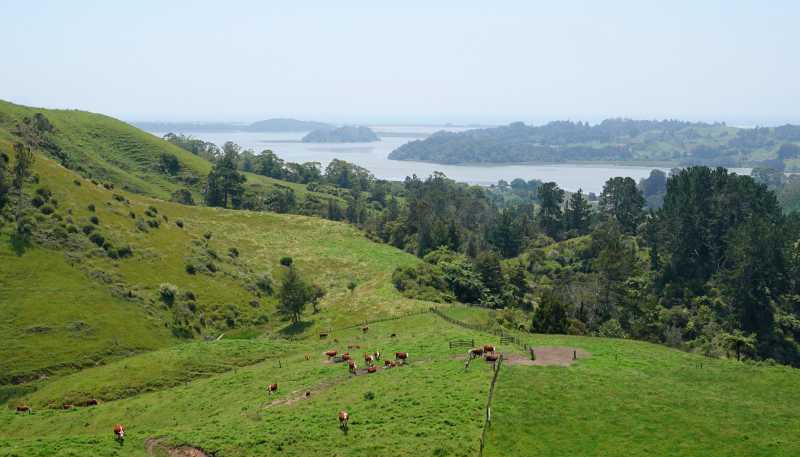 179 and 21 Rankin Road, Waiotahi