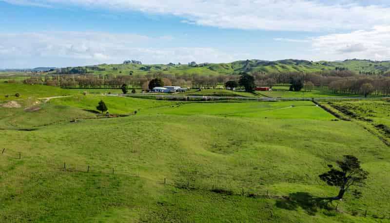 184 Tangowahine Valley Road, Tangowahine