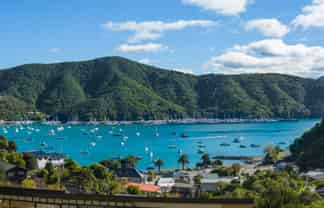 24 Amelia Crescent, Waikawa