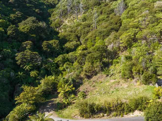24 Amelia Crescent, Waikawa