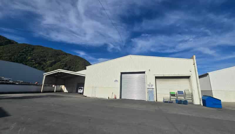 146 Hutt Park Road, Gracefield