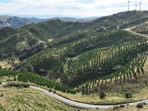  Paruwai Road, Ruakokoputuna