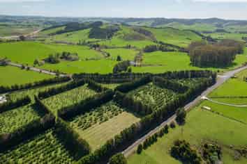 908A Te Ahu Ahu Road, Waimate North, Kerikeri