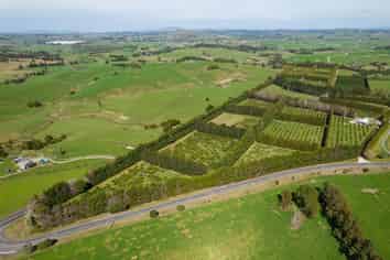 908A Te Ahu Ahu Road, Waimate North, Kerikeri