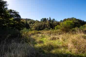 555 Upper Buller Gorge Road, Murchison