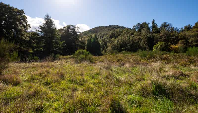  Upper Buller Gorge Road, Murchison