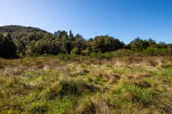 555 Upper Buller Gorge Road, Murchison