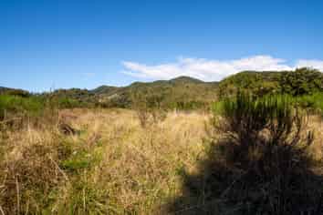 555 Upper Buller Gorge Road, Murchison