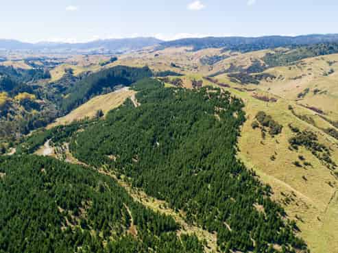 2020 Pohangina Valley East Road (Lot 1 and Lot 2), Pohangina
