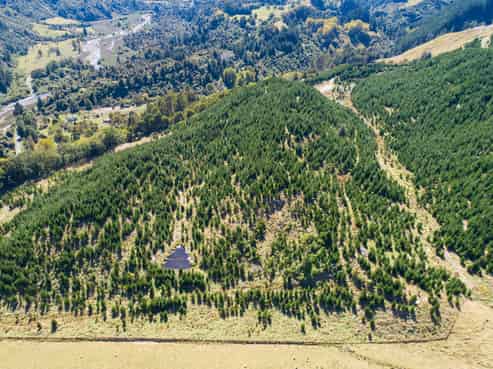 2020 Pohangina Valley East Road (Lot 1 and Lot 2), Pohangina