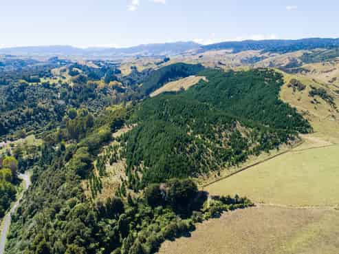 2020 Pohangina Valley East Road (Lot 1 and Lot 2), Pohangina